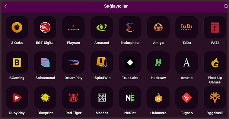 Sağlayıcılar sayfası, üç sıralı simge ızgarasında 3 Oaks, EGT Digital, Playson, FAZI, BGaming ve Yggdrasil logolarını gösteriyor.
